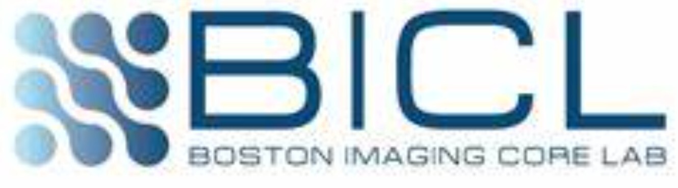 Boston Imaging Core lab -logo