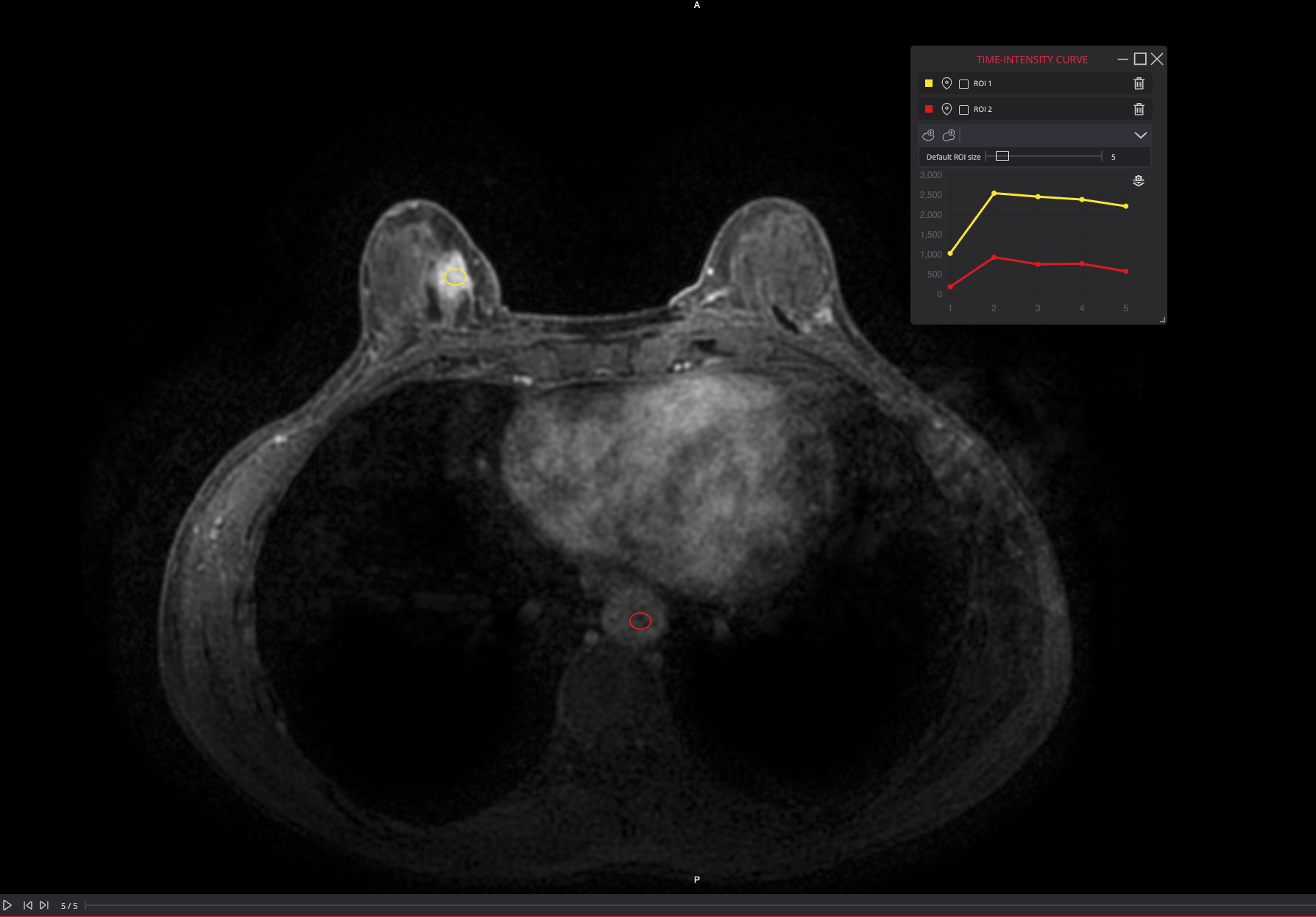 15 Best Radiology Websites for Medical Professionals in 2026