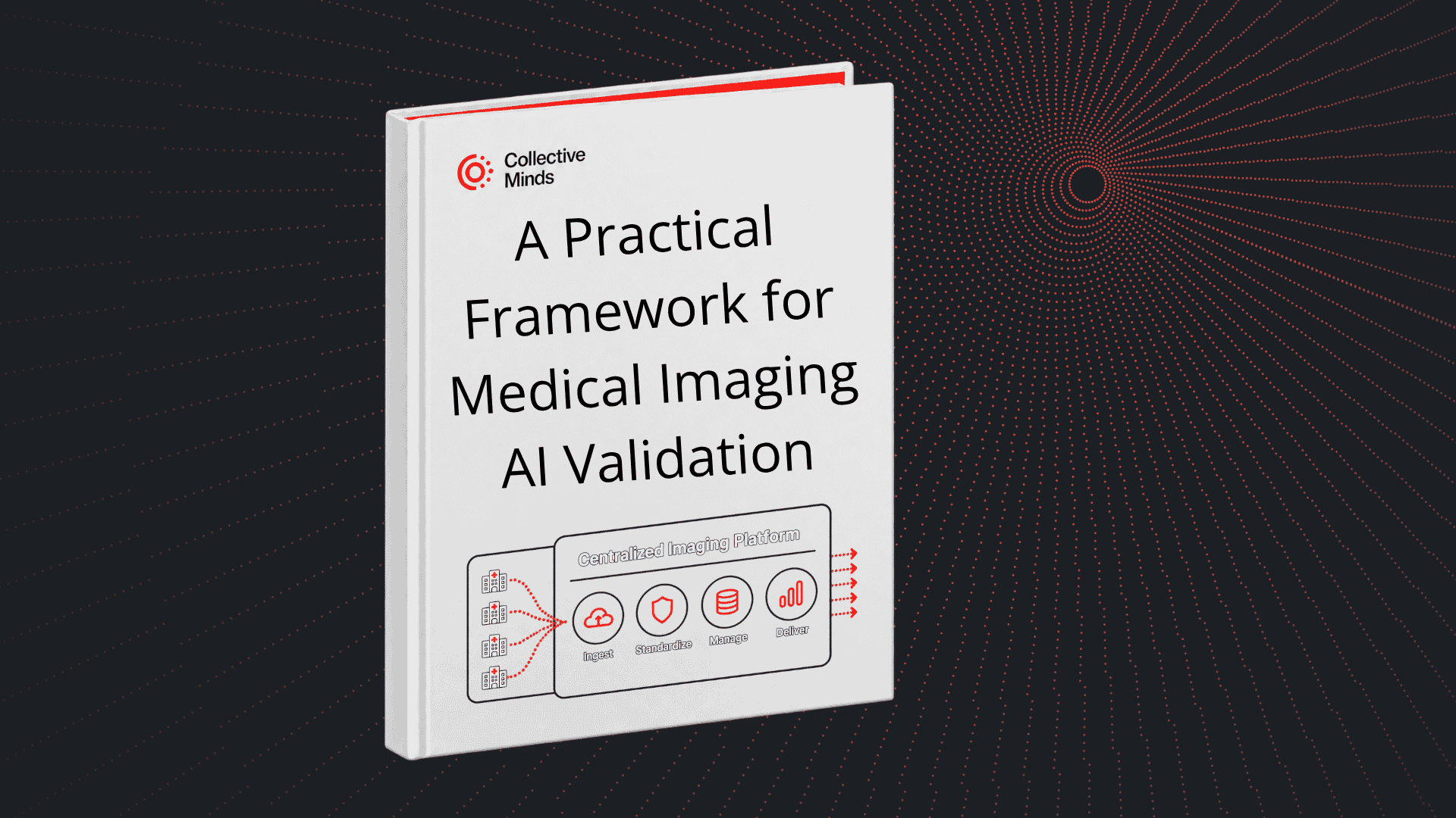 Whitepaper_A Practical Framework for Medical Imaging AI Validation