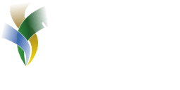 XNAT